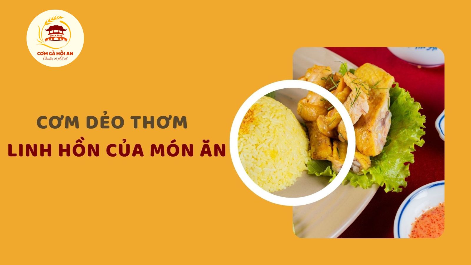 Cơm gà Hội An là một mô hình kinh doanh bền vững 